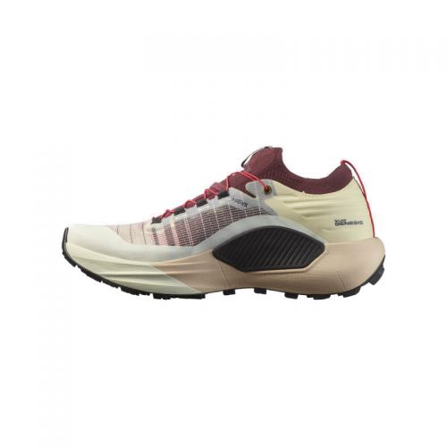 Chaussures Trail Homme Salomon S/Lab Genesis