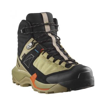 Chaussures Randonnée Homme Salomon X Ultra Alpine GTX