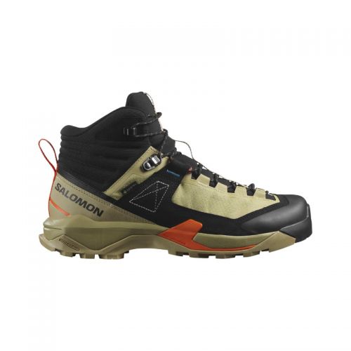 Chaussures Randonnée Homme Salomon X Ultra Alpine GTX